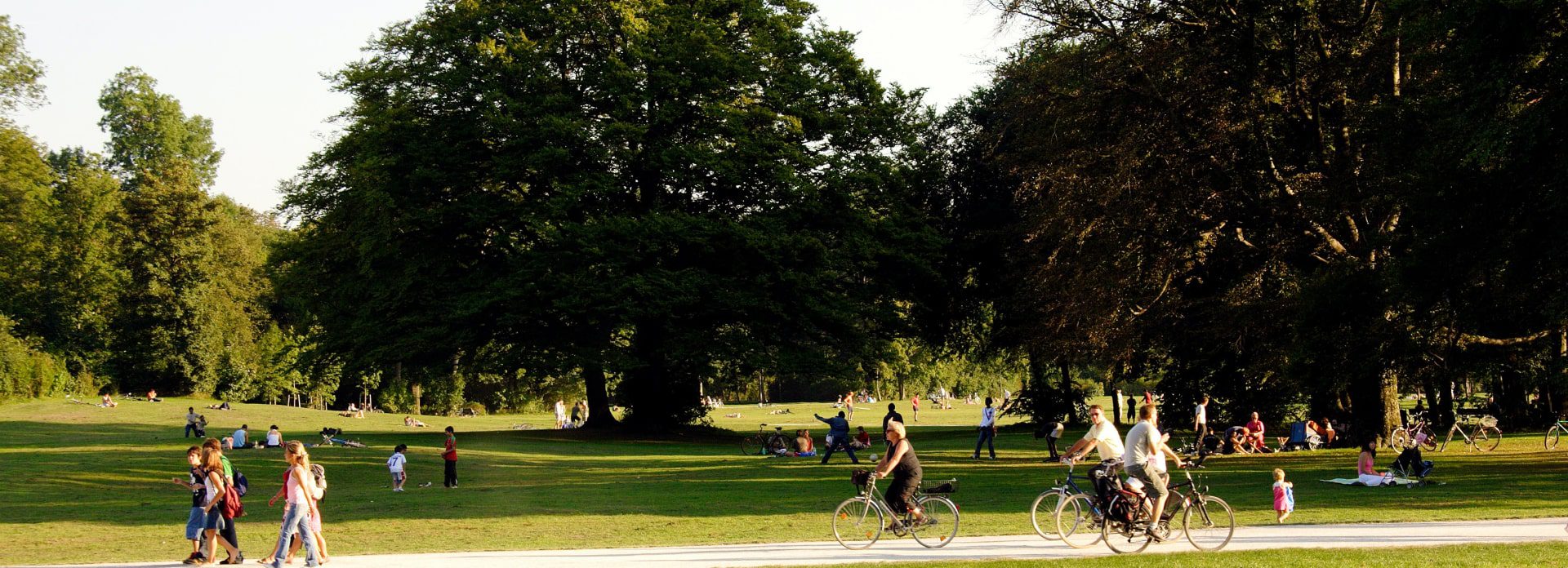 A green park with trees and open space, people walking and riding bikes
